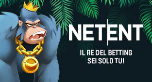 newbetting net|Iba pa.